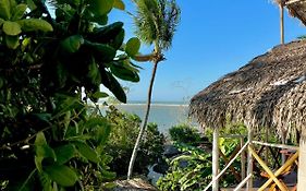Dumangue Kite House